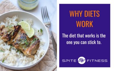 Why Diets Work – The Diet that works is the one You can stick to